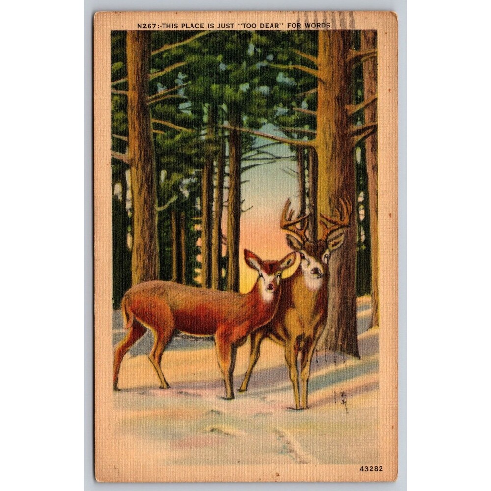 1942 Deer Pun Postcard Kingsport TN to CovingtonKY Military Era Stamp Linen